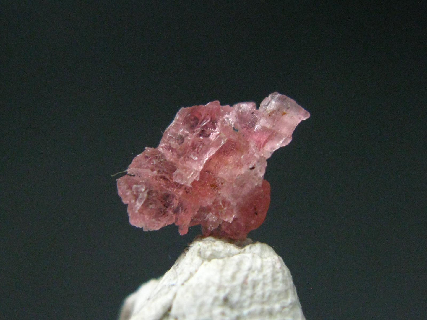 Rare Gem Vayrynenite Crystal From Pakistan - 0.8cm - 0.55 Carats