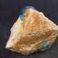 Rare Blue Apatite Cluster from Russia - 1.9" - 69.5 Grams