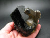 Fine Black Tourmaline and Smoky Quartz Crystal From Namibia - 4.3"