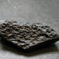 Rare Large Black Tibetan Tektite Raw Piece from Tibet - 2.3" - 28.56 Grams