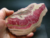 Rhodochrosite Large Slab From Argentina - 4.8"