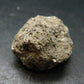 Hauyne Cluster From Germany - 1.1" - 6.31 Grams