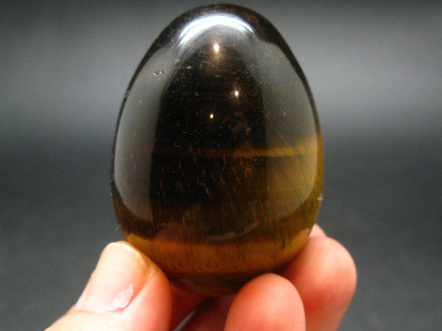 Golden Tiger Eye Egg From South Africa - 1.9"