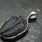 Trilobite Silver Pendant from USA - 1.0" - 2.07 Grams