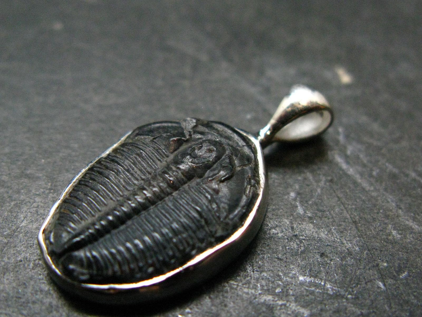 Trilobite Silver Pendant from USA - 1.0" - 2.07 Grams