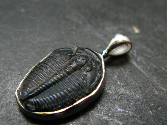 Trilobite Silver Pendant from USA - 1.0" - 2.07 Grams