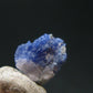 Fine Rare Carletonite Crystal From Mt. St. Hilaire Canada - 0.4" - 0.40 Grams