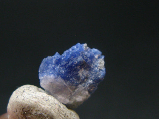 Fine Rare Carletonite Crystal From Mt. St. Hilaire Canada - 0.4" - 0.40 Grams