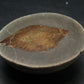 Glendonite (Ikaite after Calcite) Crystal From Russia - 1.8" - 42.91 Grams