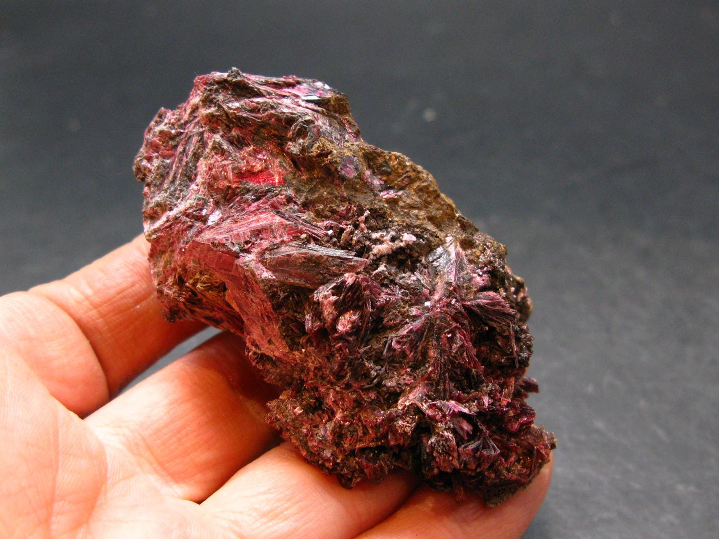 Fine Erythrite Cluster From Morocco - 2.6" - 63.45 Grams