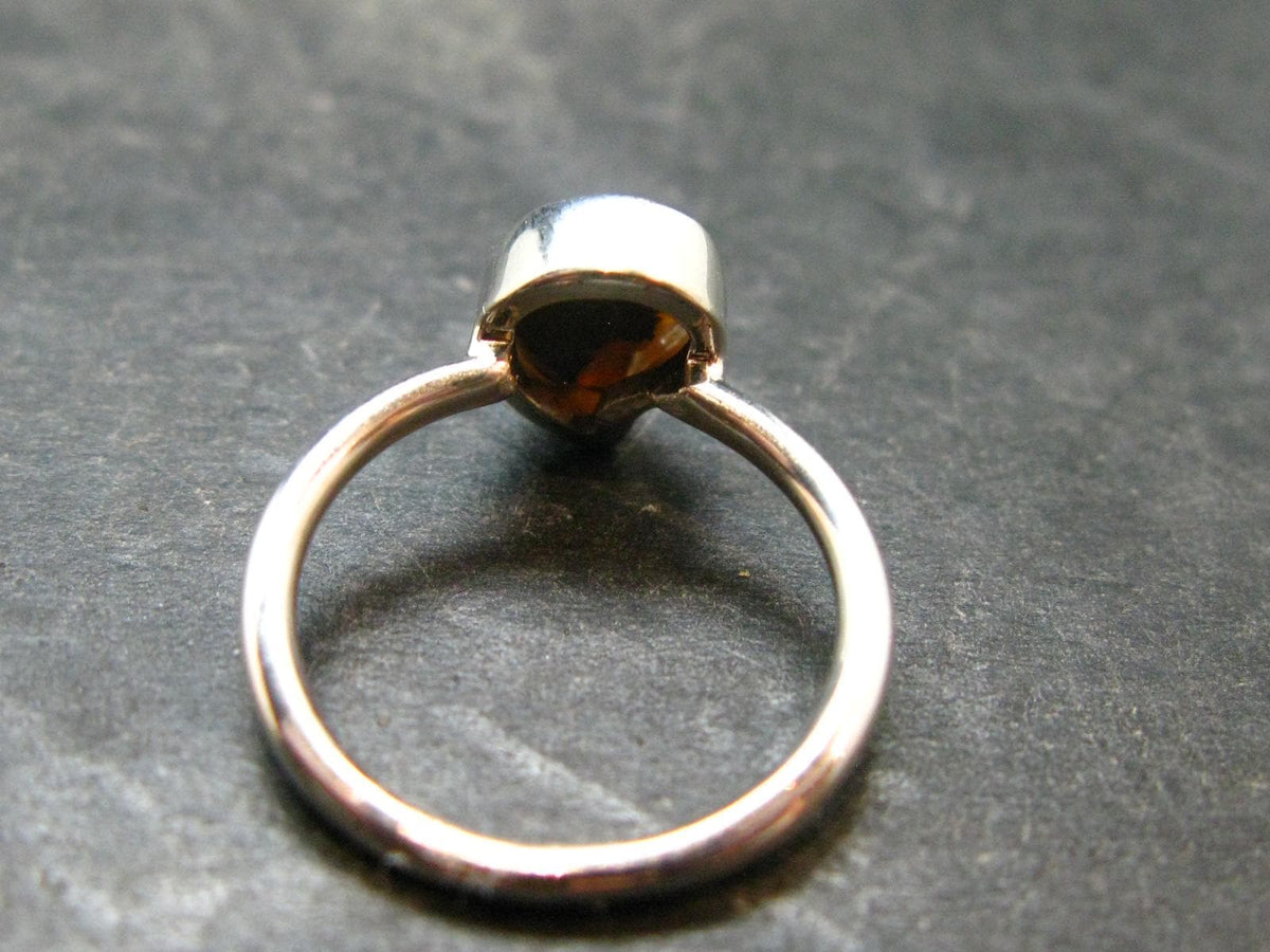 Natural Whole Polished Agatized Ammonite Cleoniceras Sterling Silver Ring from Madagascar - 1.56 Grams - Size 4