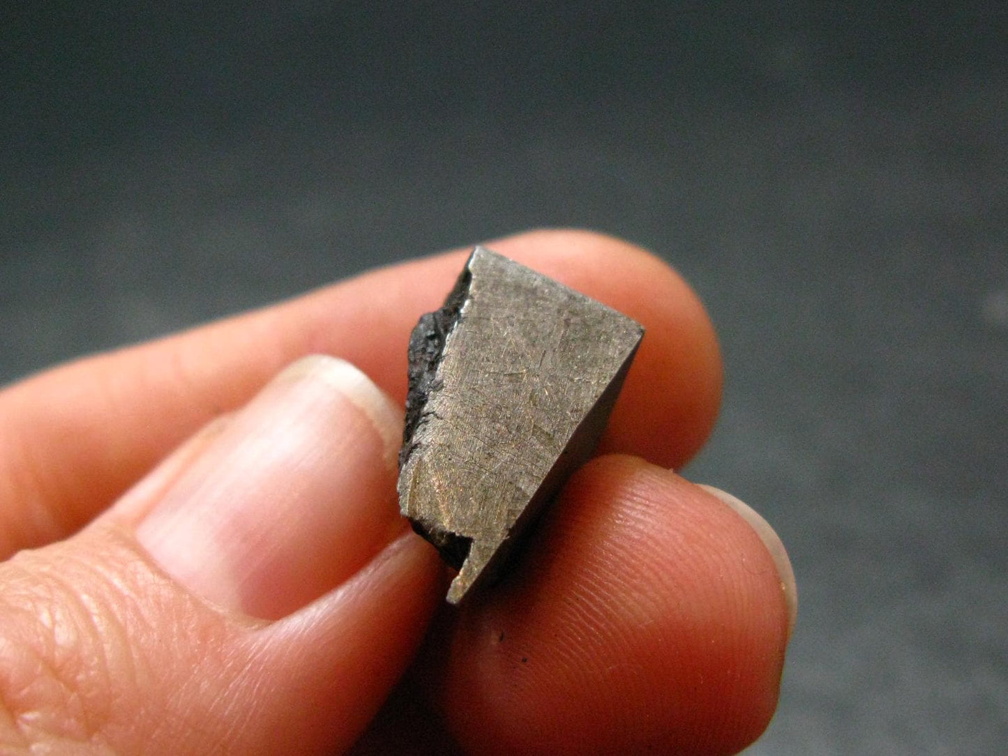 Large Gibeon Meteorite From Namibia - 0.6" - 5.94 Grams