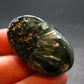 Large Polished Seraphinite Clinochlore Angels Wings Piece From Russia - 1.6" - 15.73 Grams