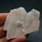 Phenakite Phenacite Polished Slice From Brazil - 37.0 Grams - 2.4"