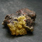 Nice Large Yellow Mimetite Cluster from Mexico - 1.6"