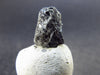 Alexandrite Chrysoberyl Crystal From Brazil - 4.75 Carats