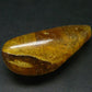 Insects in Amber Piece From Colombia - 12.82 Grams - 2.1"