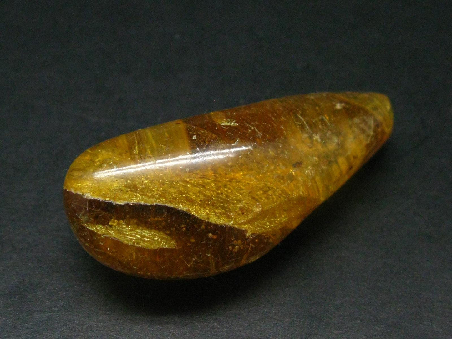 Insects in Amber Piece From Colombia - 12.82 Grams - 2.1"