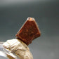 Mangano Tantalite Crystal From Brazil - 0.5" - 10.85 Carats