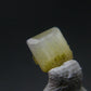 Rare Gem Thompsonite Cut Stone from Canada - 0.41 Carats