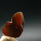 Fire Agate Crystal From Mexico - 0.6" - 1.33 Grams