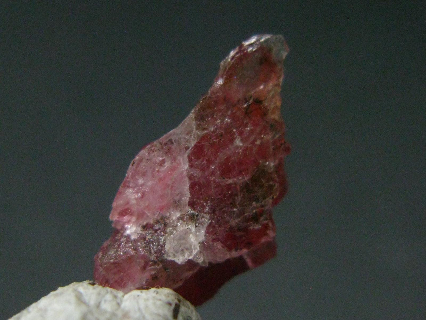 Rare Large Pezzottaite Pink Beryl from Madagascar - 3.00 Carats