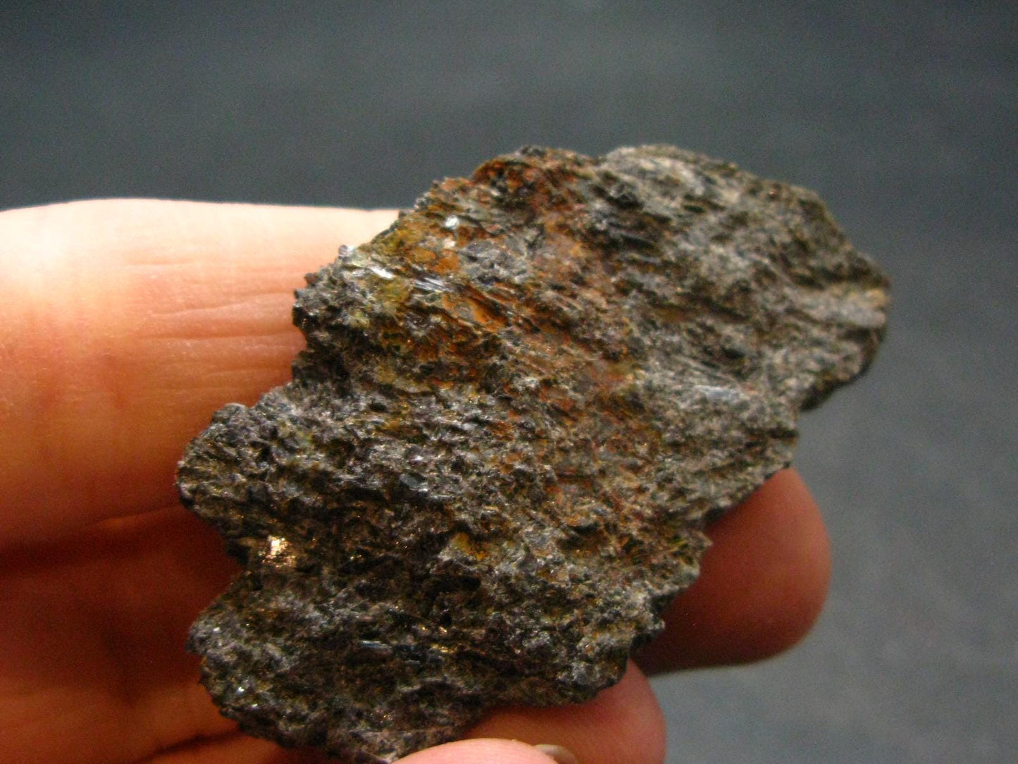 Rare Nuumite Nuummite Raw Piece From Greenland - 11.66 Grams - 1.7"