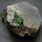 Large Uvarovite (Green Chromium Garnet) Cluster From Russia - 2.6" - 136.47 Grams