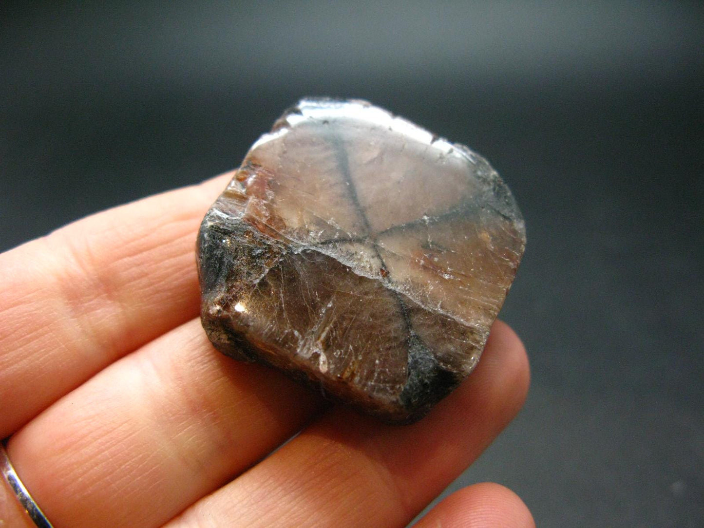 Andalusite Chiastolite Crystal From China - 3.2" - 24.60 Grams