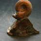 Pyritized Ammonite Fossil On Pyrite Matrix From Russia 150 MYO - 3.1" - 120.67 Grams