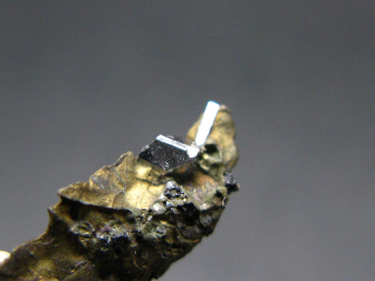 Sperrylite Crystal On Matrix From Russia - 0.7" - 3mm Crystal