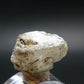 Phenakite Phenacite Crystal from Madagascar 20.77 Carats