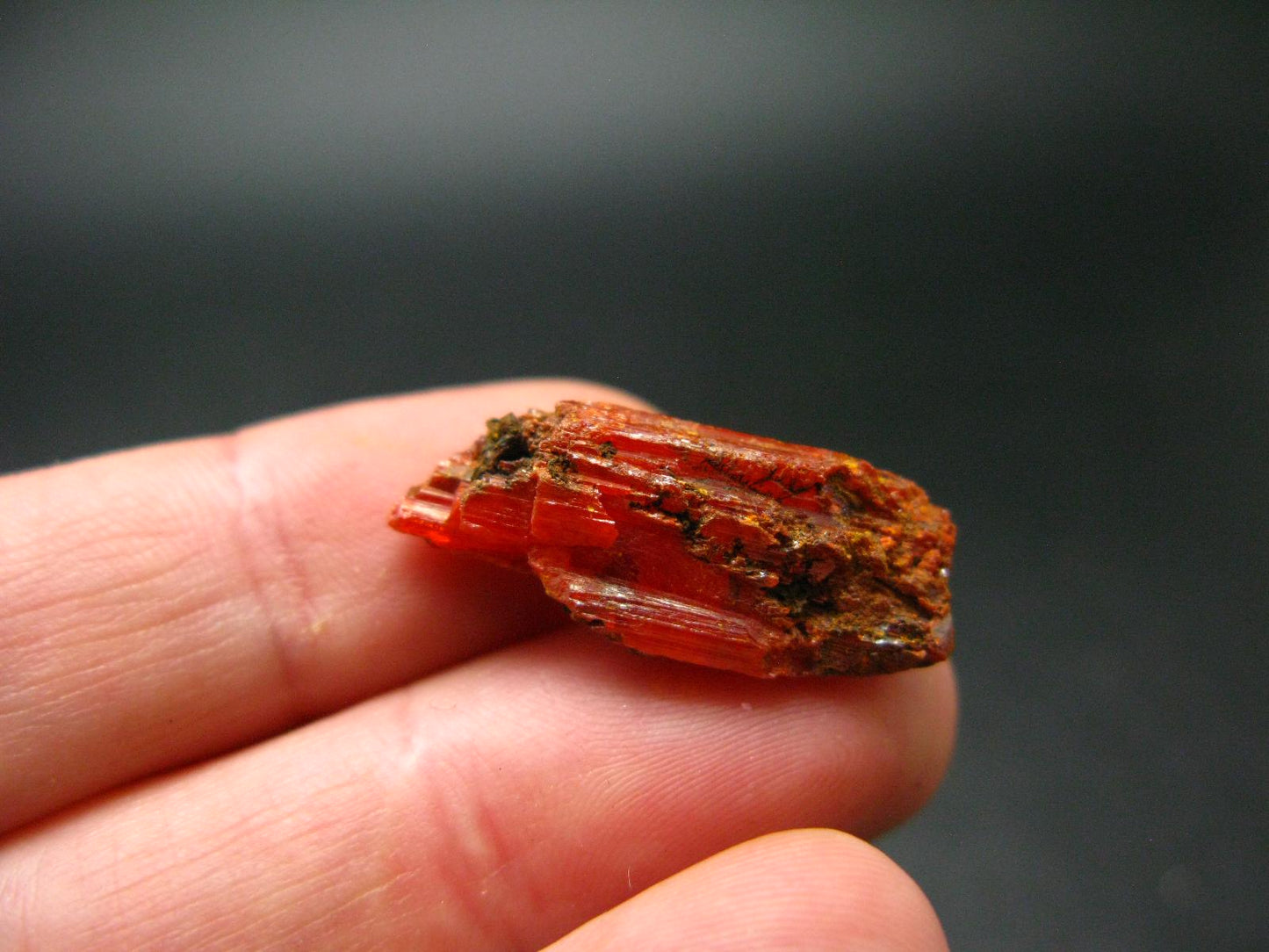 Large Orange Crocoite Crystal From Australia - 0.9" - 19.70 Carats