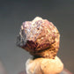 Large Alexandrite Chrysoberyl Crystal From Zimbabwe - 0.6" - 2.81 Grams
