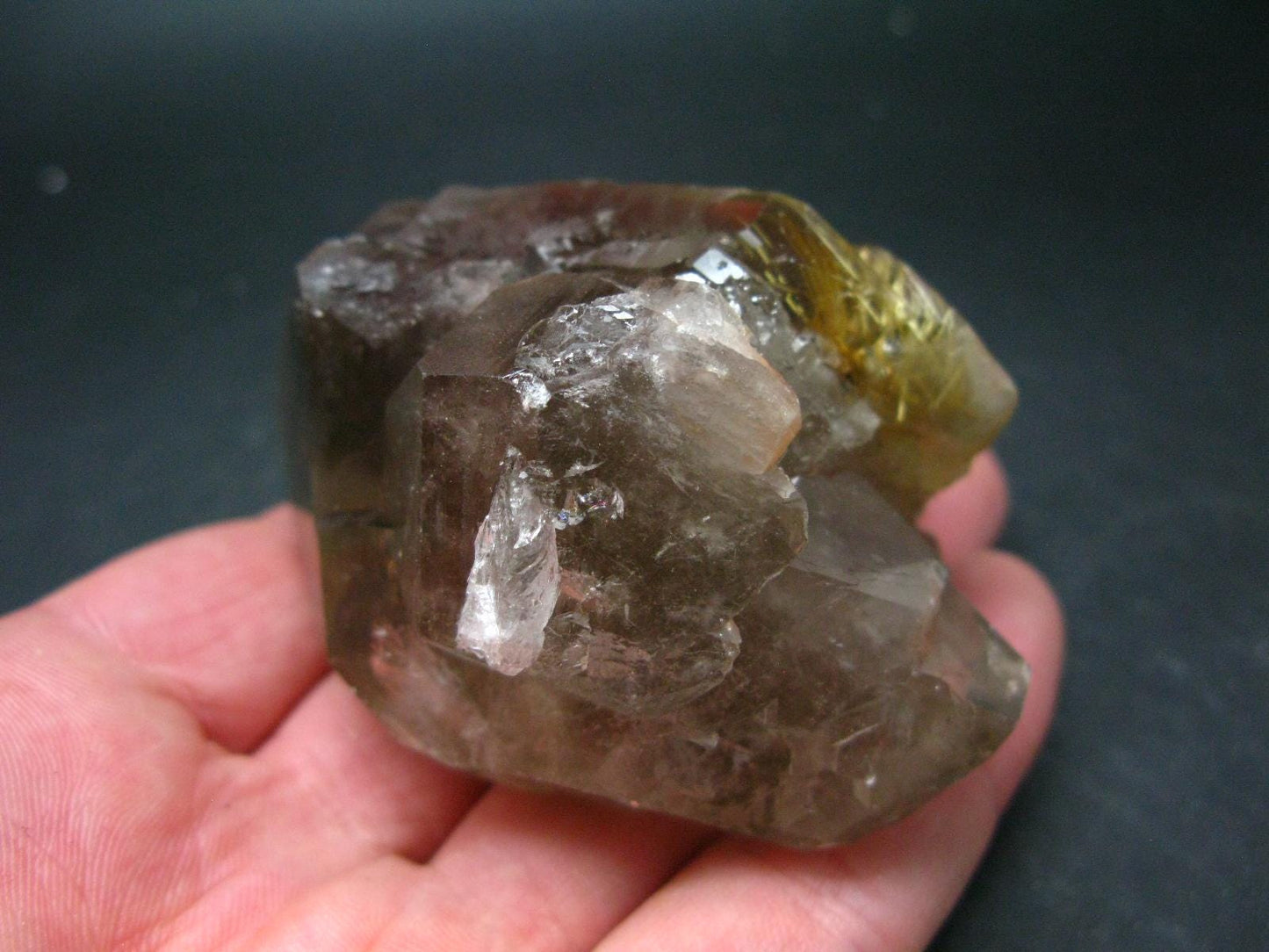 Large Rutilated Smoky Quartz Crystal from Brazil - 3.3" - 205 Grams