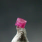 Nice Rare Gem Bixbite Red Emerald Beryl Crystal From Utah USA - 0.13 Carats