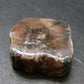 Andalusite Chiastolite Crystal From China - 1.1" - 20.31 Grams