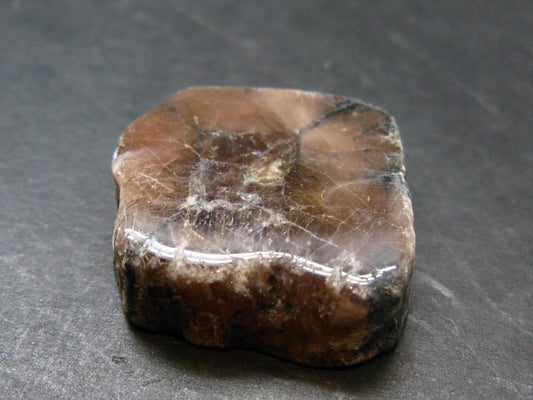 Andalusite Chiastolite Crystal From China - 1.1" - 20.31 Grams