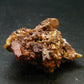 Wulfenite Cluster From Arizona - 1.9"- 49.68 Grams