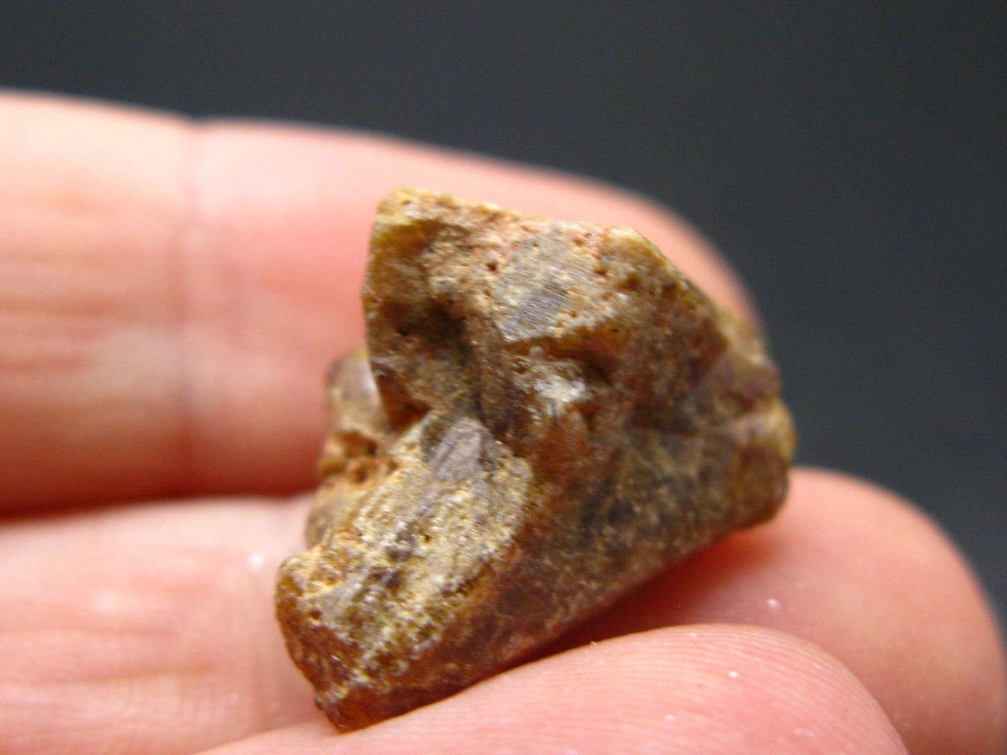 Rare Monazite Crystal From Brazil - 0.6" - 4.88 Grams