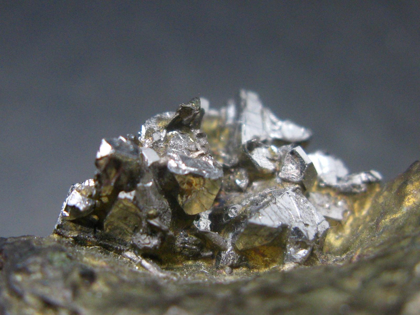 Sperrylite Crystals On Matrix From Norilsk Russia - 1.6" - 10+ Crystals