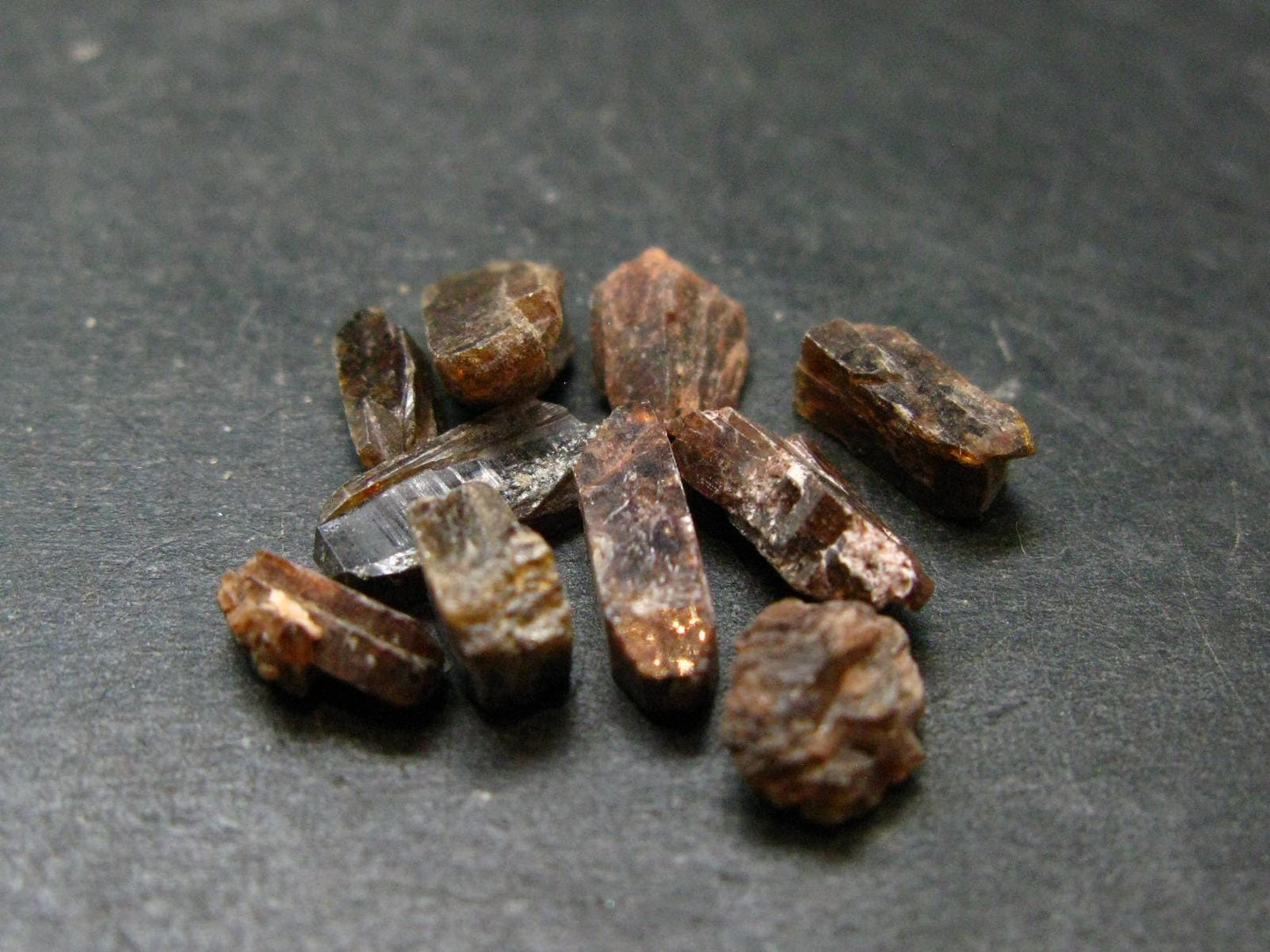 Lot of 10 Xenotime Crystals from Brazil - 20.85 Carats