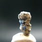 Hauyne Cluster From Germany - 0.6" - 0.60 Grams