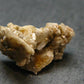 Rare Herderite Crystal from Brazil - 2.67 Grams - 0.9"