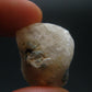 Gem Phenakite Phenacite Crystal from Nigeria - 50.0 Carats