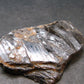 Fine Axinite Crystal from Russia - 1.3" - 5.77 Grams