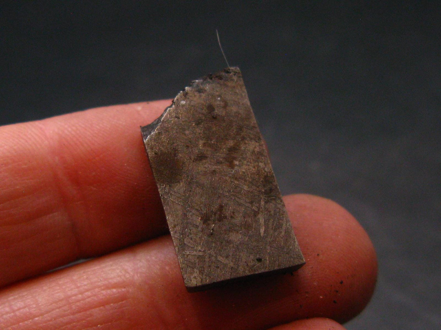 Large Gibeon Meteorite From Namibia - 0.8" - 6.5 Grams
