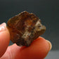 Gem Sphalerite Crystal from Spain - 0.7" - 5.08 Grams
