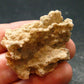 Large Fulgurite Lightning Rock From Sahara Desert - 1.6" - 3.20 Grams