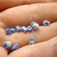 Fine Lot of 10 Carletonite Crystals From Mt. St. Hilaire Canada - 0.53 Grams